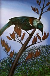 Moonlight Tui Nz Art Gallery